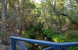 Bannister Creek Living Stream Perth